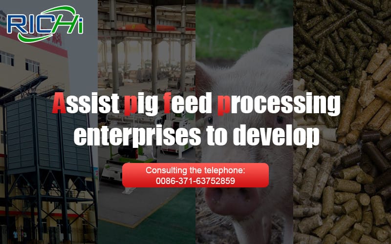 We Help Small and Medium-Sized Pig Feed Enterprises to Develop