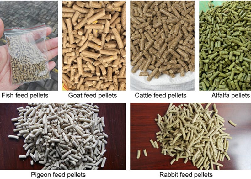 The importance of moisture control in animal feed production process